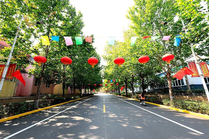 1569839564370761.jpg image014.jpg